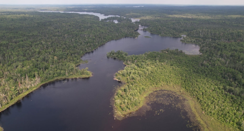 From an aerial point of view, a body of water is framed by green trees